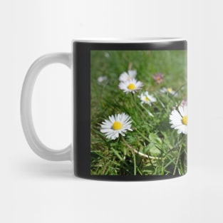 Oxeye Daisy Flower with grass background Mug